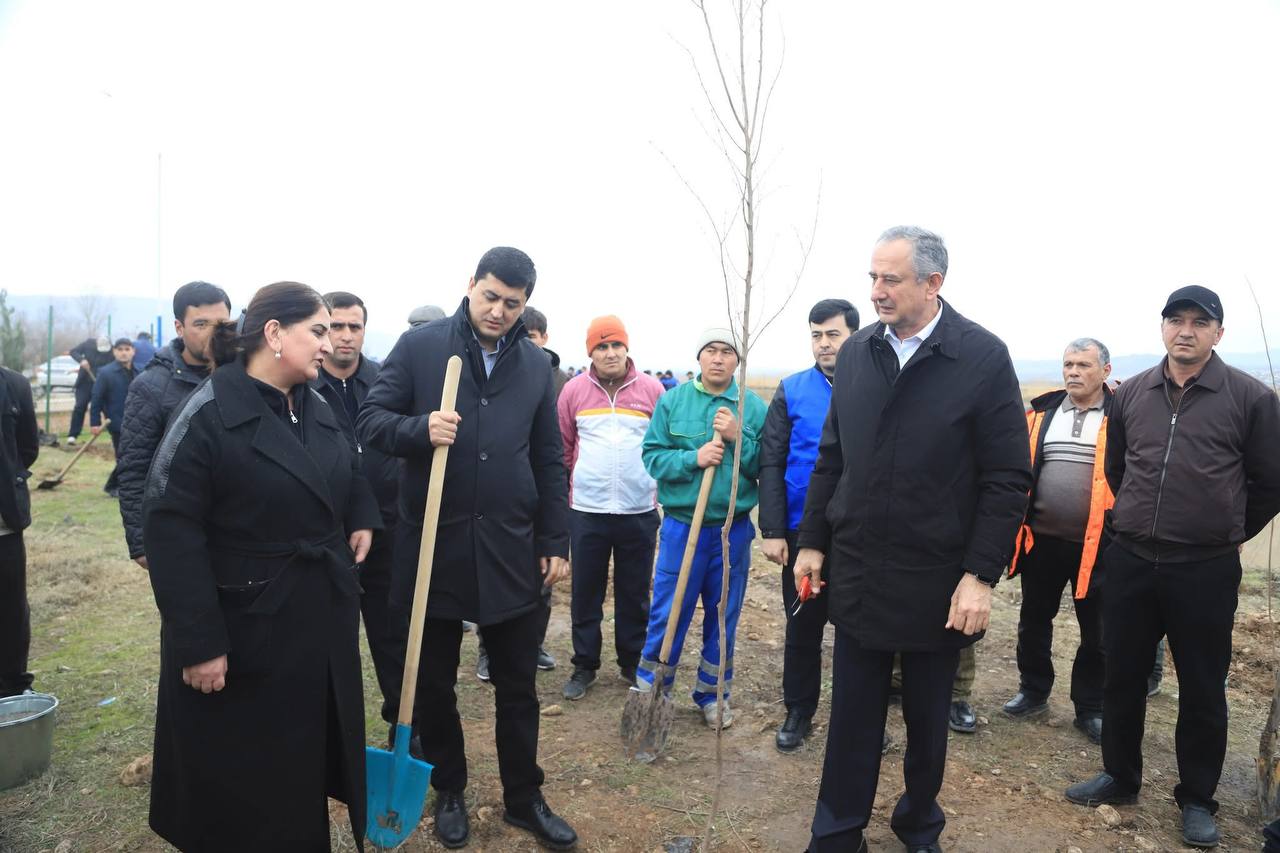 More than 4,000 saplings were planted along the Dangara-Dushanbe highway in the Dangara district.