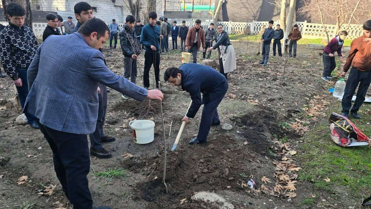 6,093 tree saplings have been planted in Tursunzade.