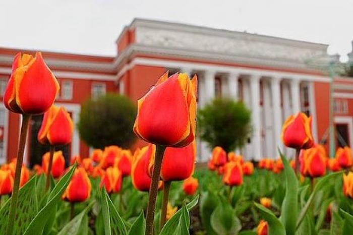 The Sairy Guli Lola Flower Festival will be held in Dushanbe in April.