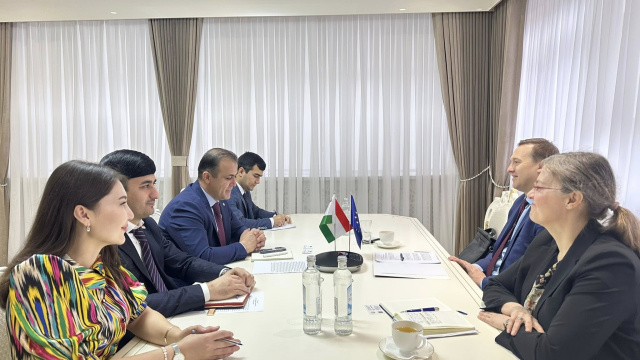 The development of investment cooperation between Tajikistan and the EU was discussed in Dushanbe.