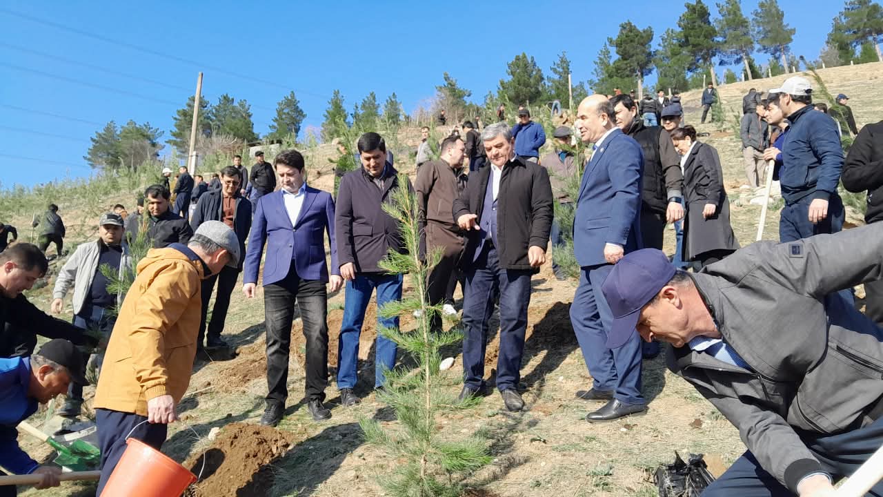 More than 1,500 trees were planted in the Varzob district.