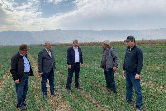 Deputy Prime Minister of Tajikistan Sulaimon Ziyozoda inspected the progress of field work in the Farkhor district.