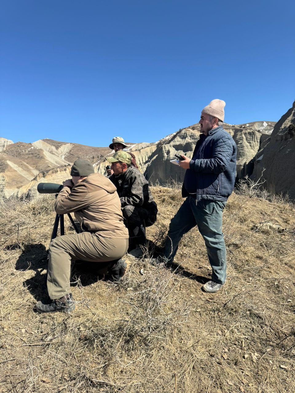 Markhor goat census is being conducted in the southern regions of Tajikistan