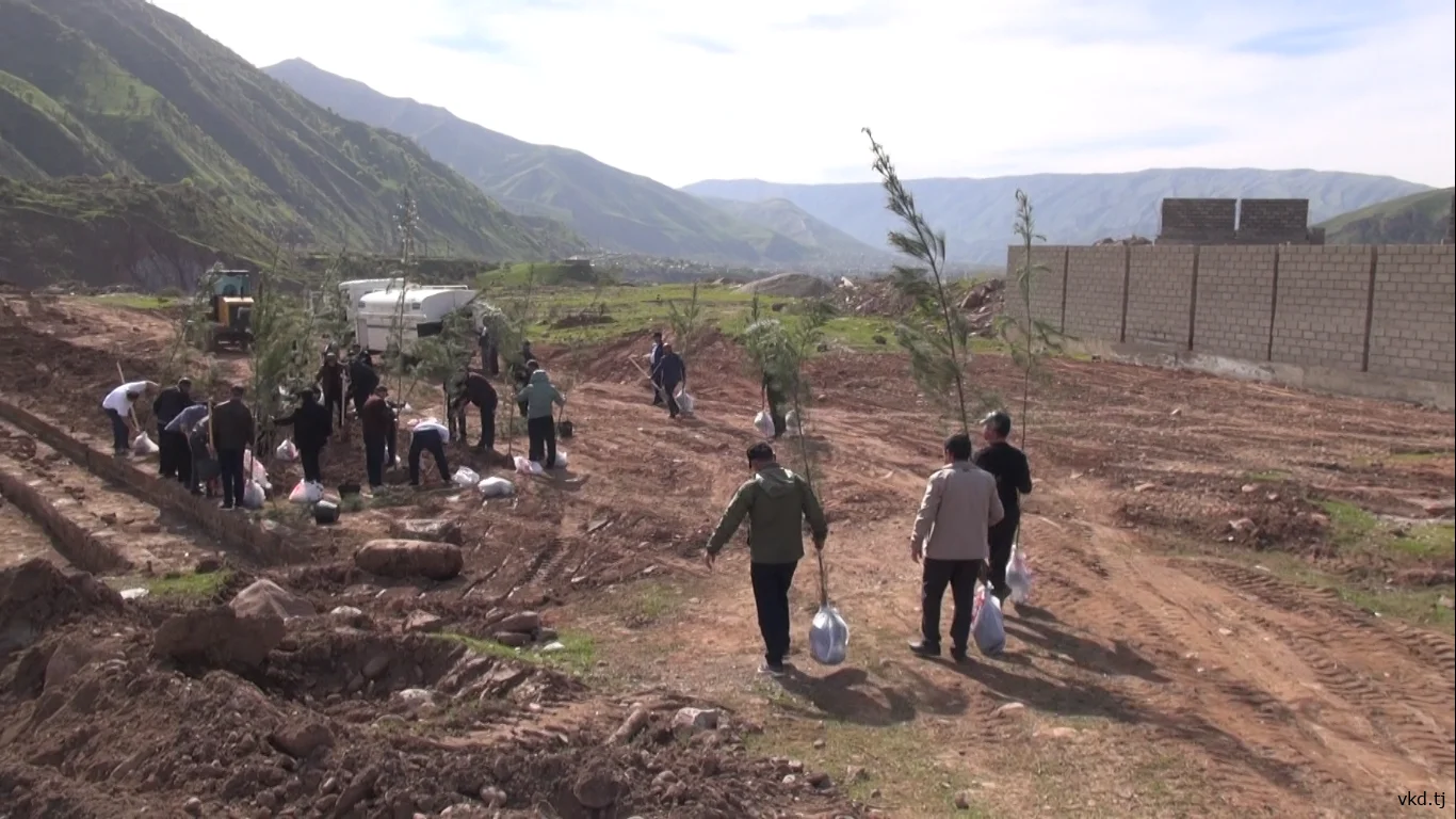 Employees of the Ministry of Internal Affairs of Tajikistan took part in landscaping in the Khatlon region.