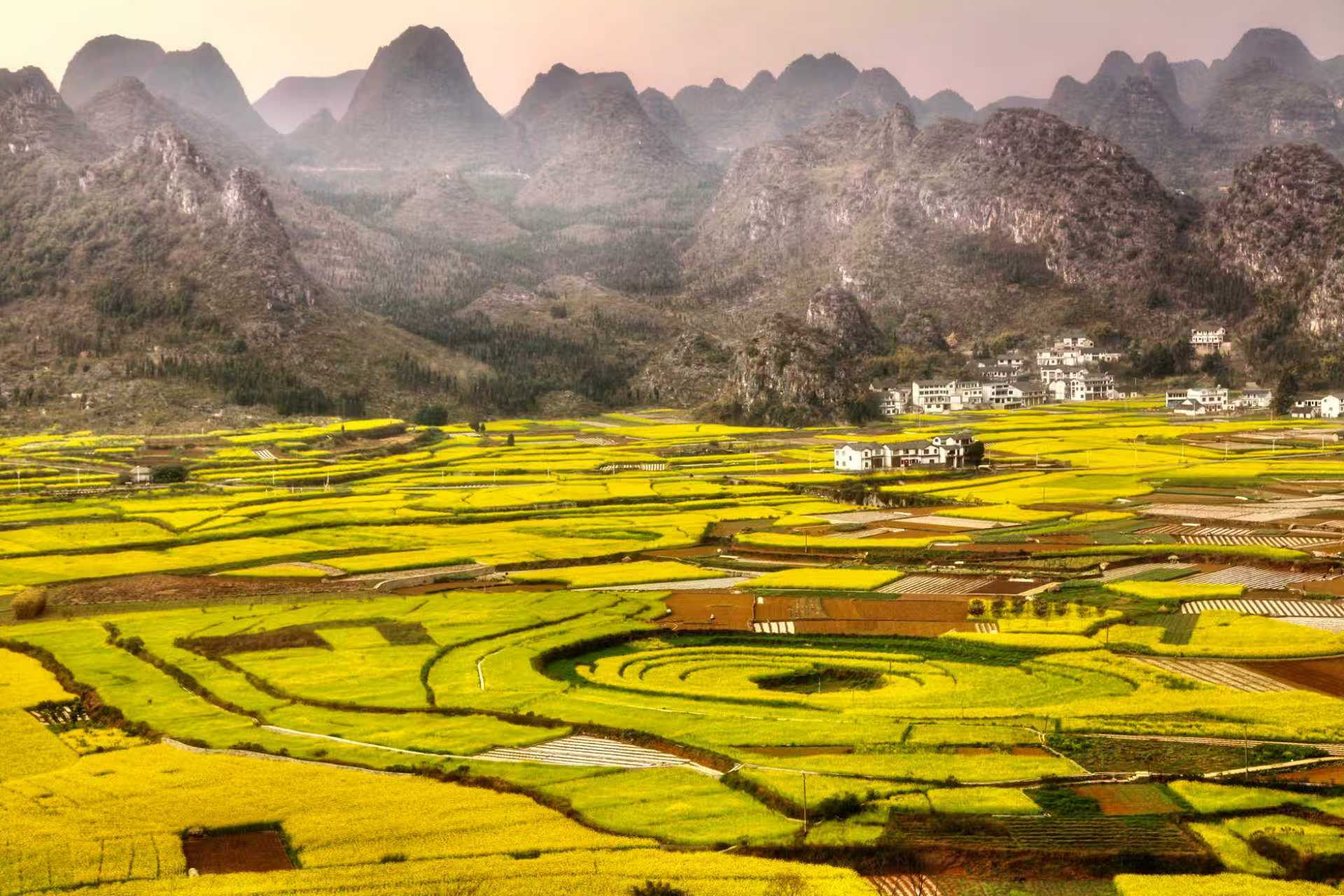 China's Ecological Construction Practice: Xi Jinping's Thought on Ecological Civilization and Its Global Significance