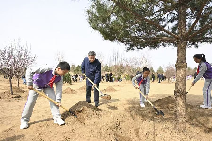 Xi Jinping called for the mobilization of the entire society to actively participate in afforestation.