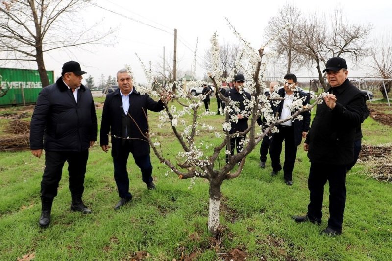 A government delegation took part in a tree planting event in Hisor.