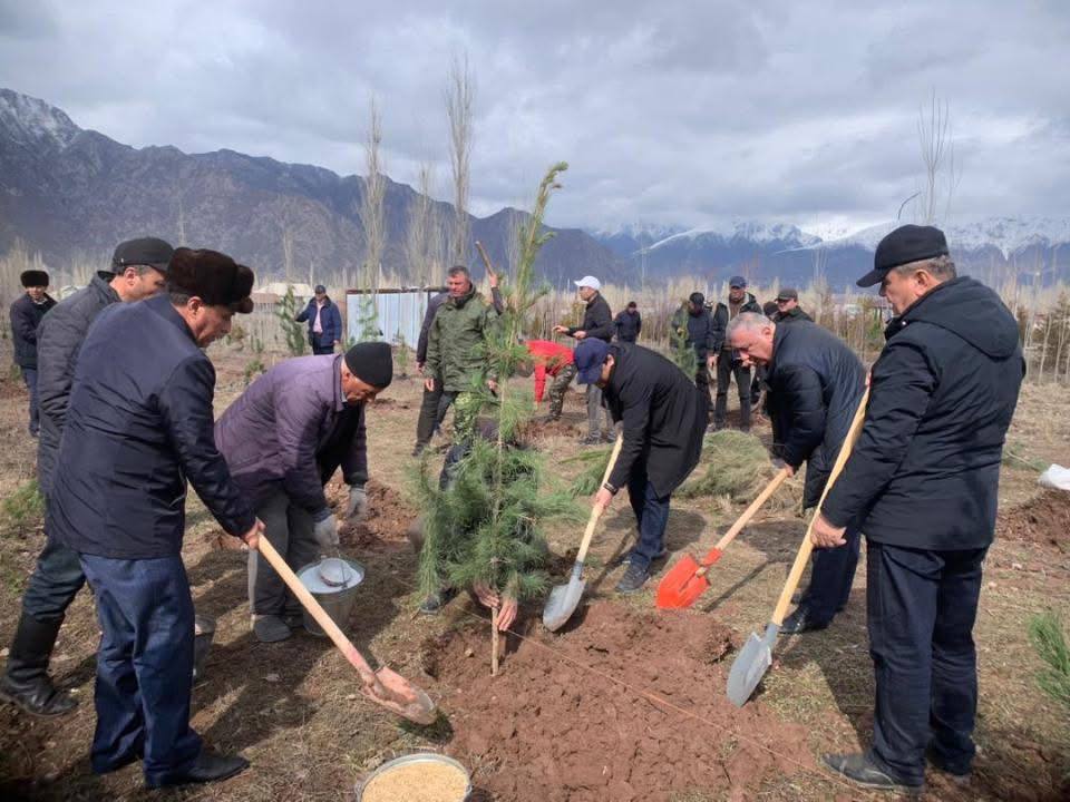 More than 5,000 trees were planted in the Rasht region.