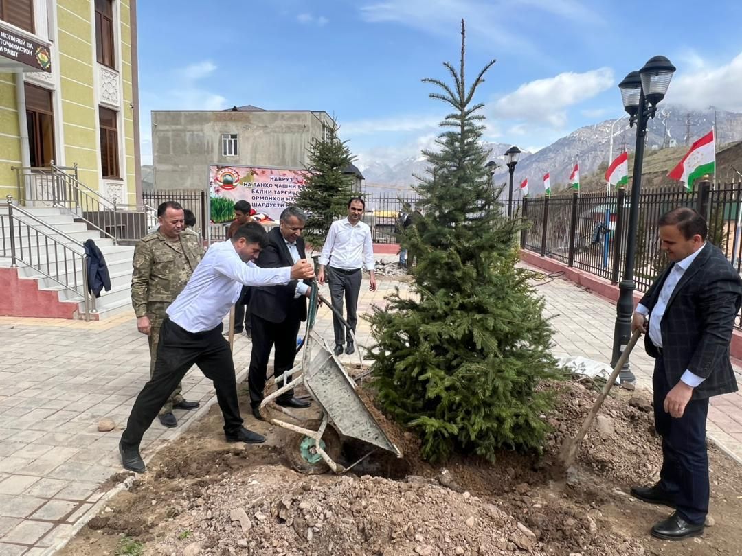 A sapling planting event took place in Rogun