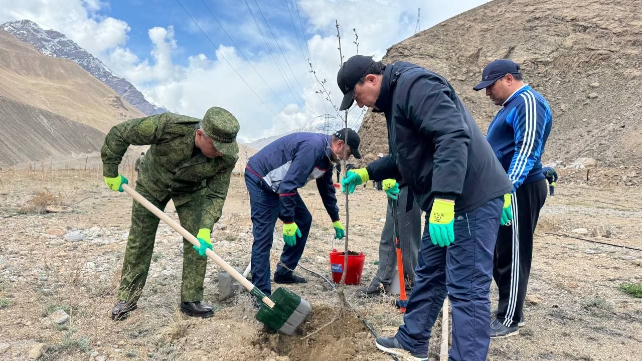 A greening campaign was held in the Shugnansky district: 300 trees were planted.