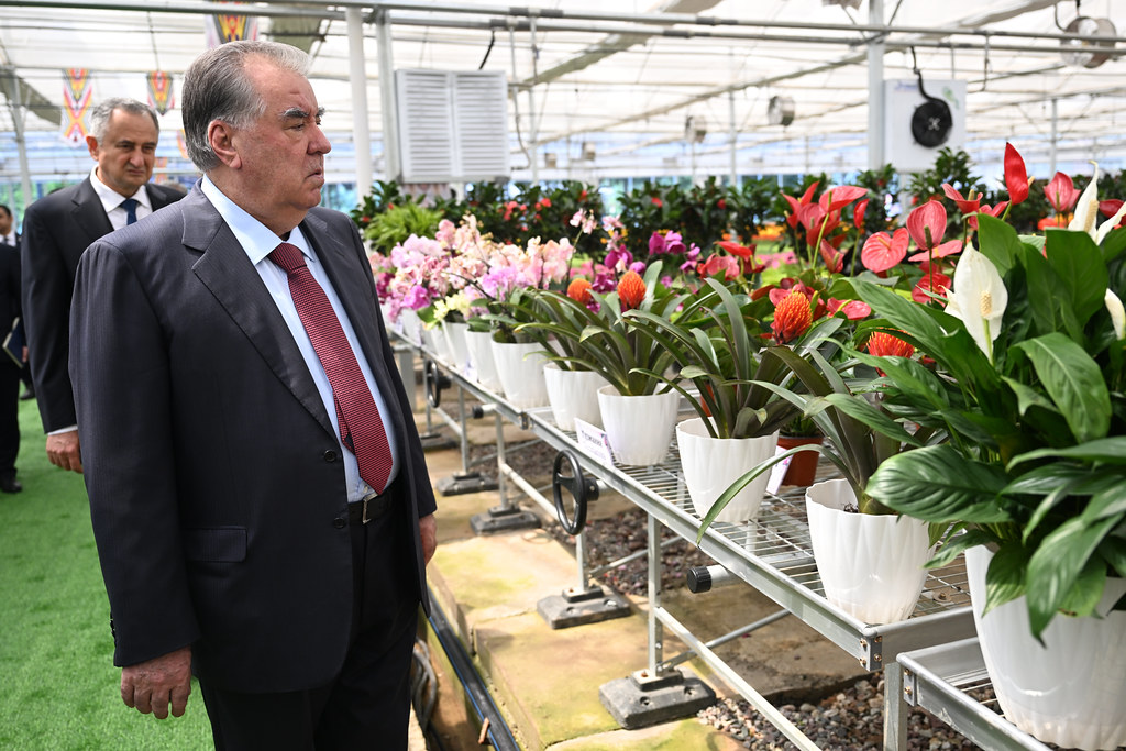 The President of the Republic of Tajikistan opened the Greenhouse Complex of Gulnur LLC in Nurek