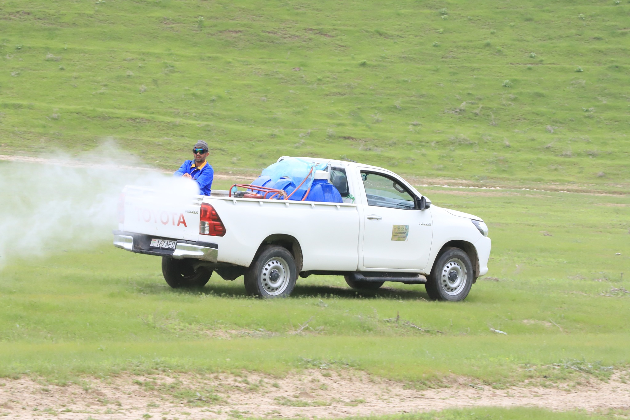 Locusts have been recorded spreading over 477 hectares in the Panj district.