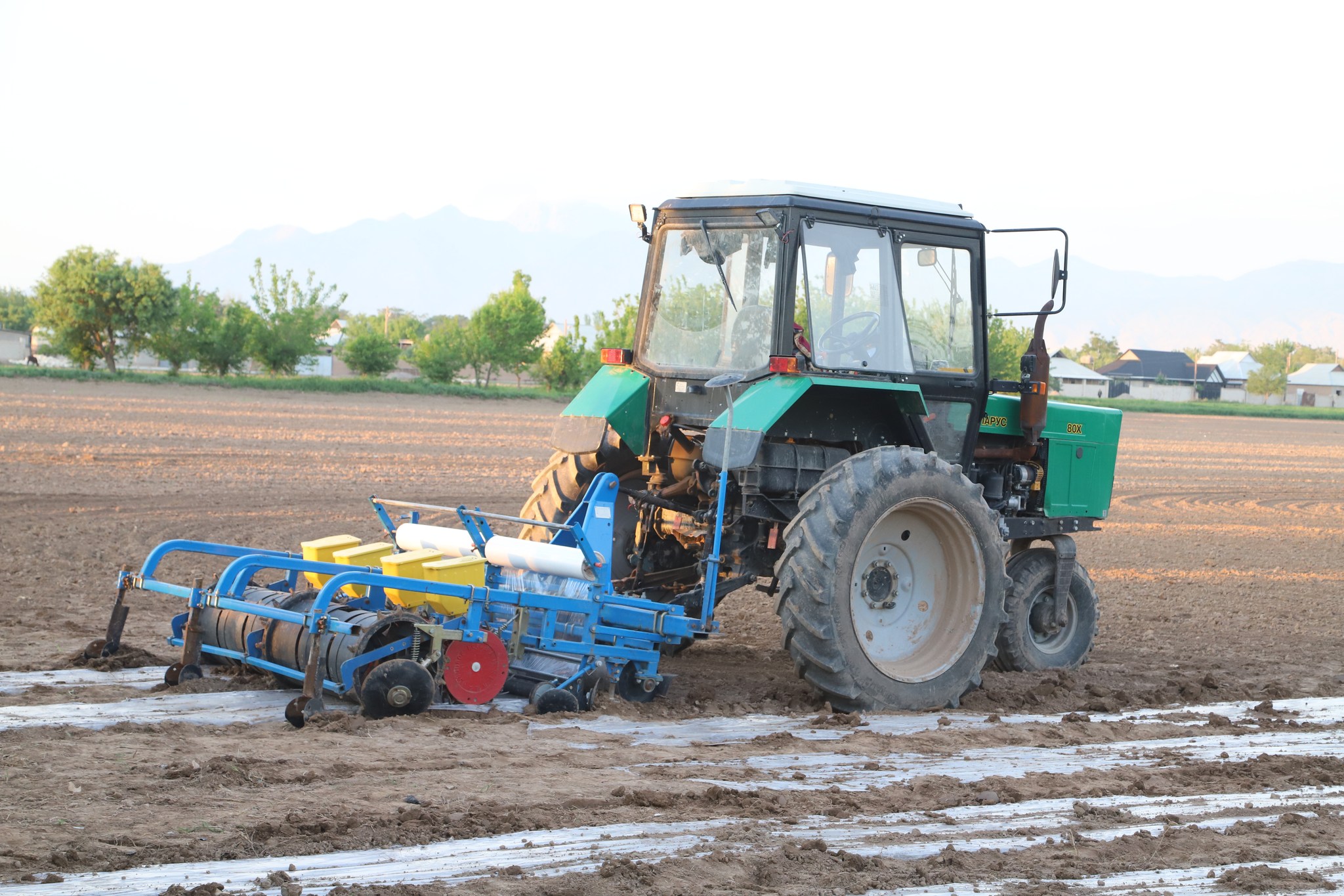 In Shahritus, cotton was sown under film on 7 hectares