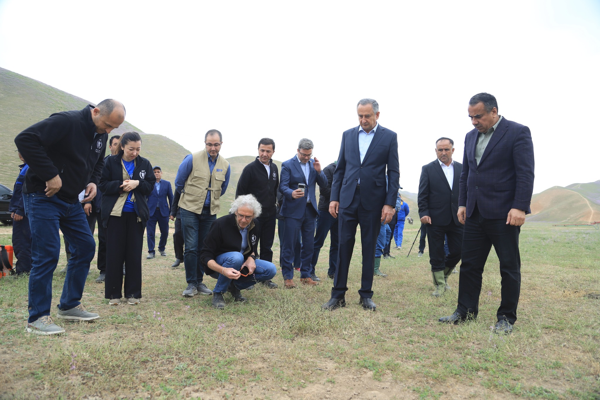 In Khatlon, locusts have covered 1,690 hectares, 1,685 have been treated