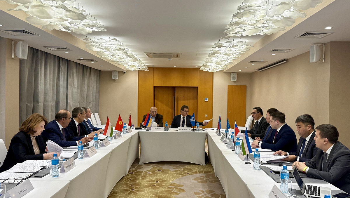 The CIS discussed the implementation of a project to form a unified statistical community.