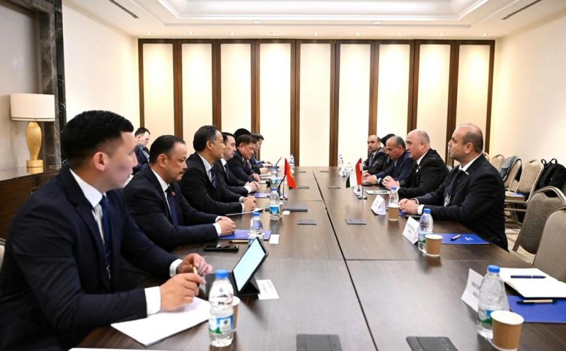 Tajikistan and Kyrgyzstan discussed interparliamentary cooperation