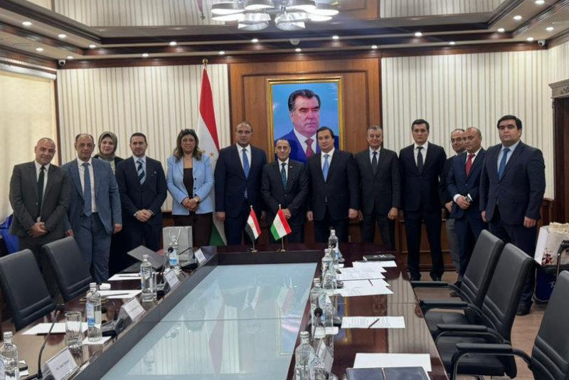 Dushanbe and Cairo intend to develop air traffic and cargo transportation