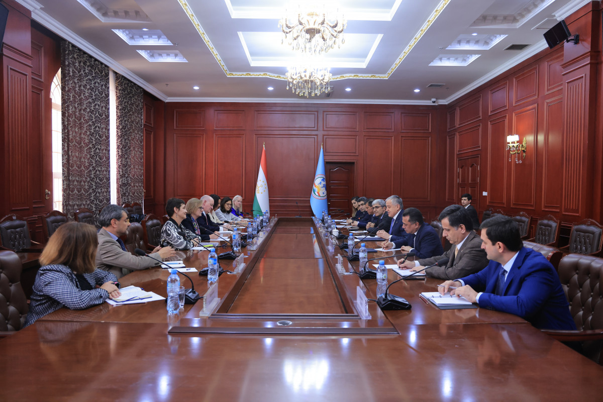 Tajikistan and the OSCE discussed security and regional cooperation