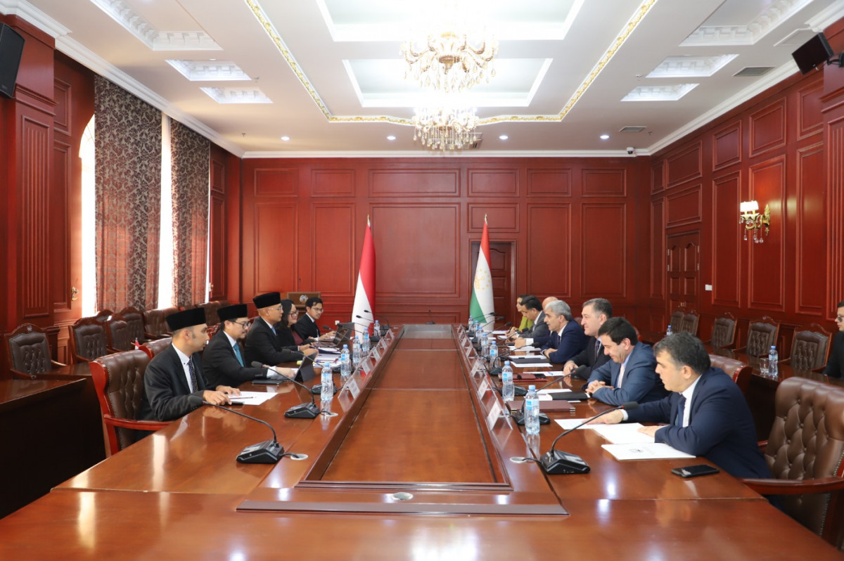 Tajikistan and Indonesia discussed expanding bilateral cooperation