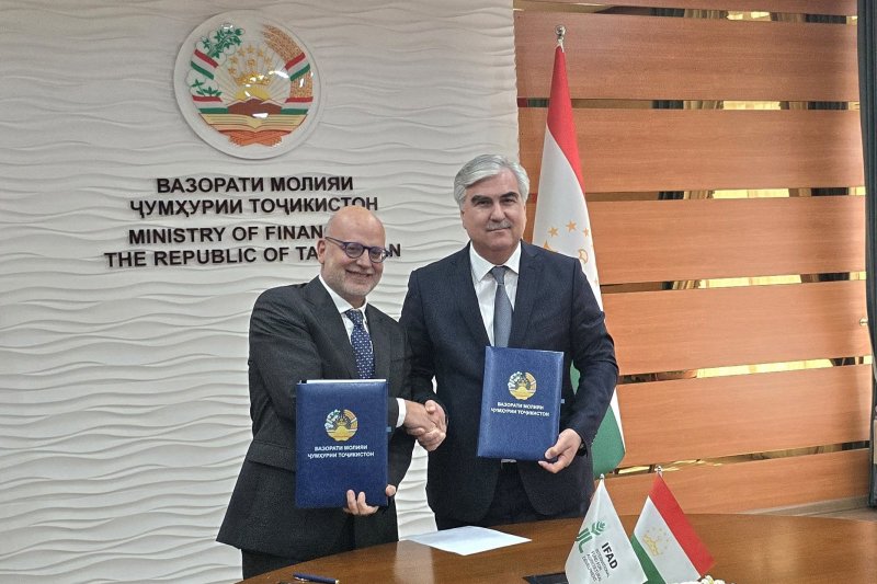 Tajikistan and IFAD signed an agreement on livestock development.