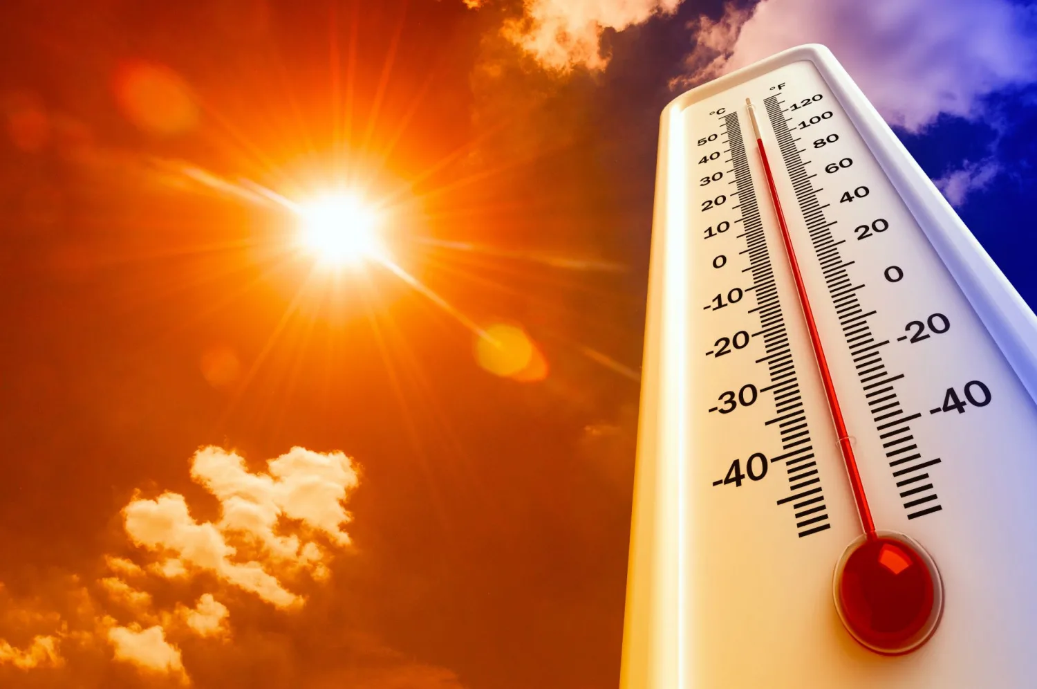 The UN has warned of record heat waves in the next five years.