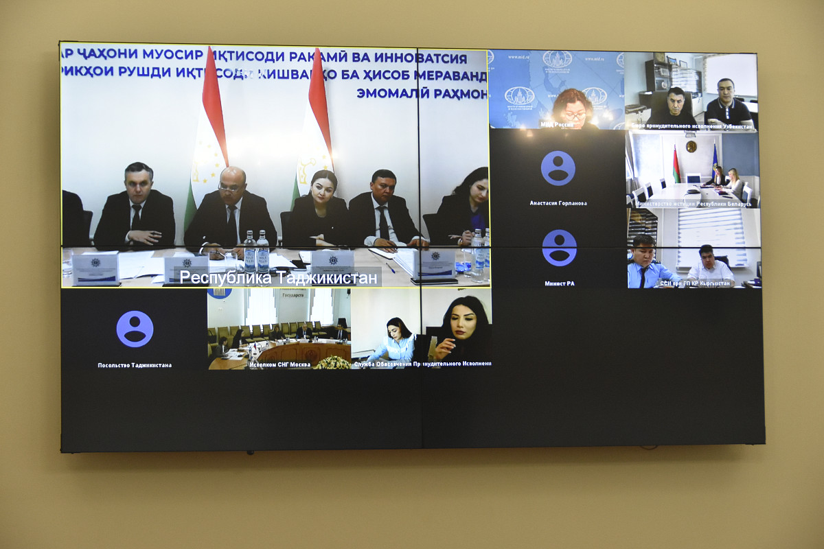 CIS experts discussed the creation of a Council of Enforcement Agencies