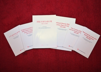 China publishes White Paper on Global Governance