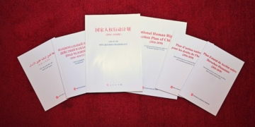 China publishes White Paper on Global Governance