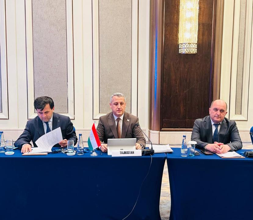 Tajikistan took part in negotiations on the CARTIF agreement