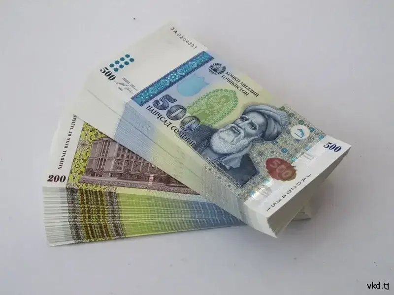 Residents of Rudaki and Istaravshan are suspected of fraud amounting to more than one million somoni.