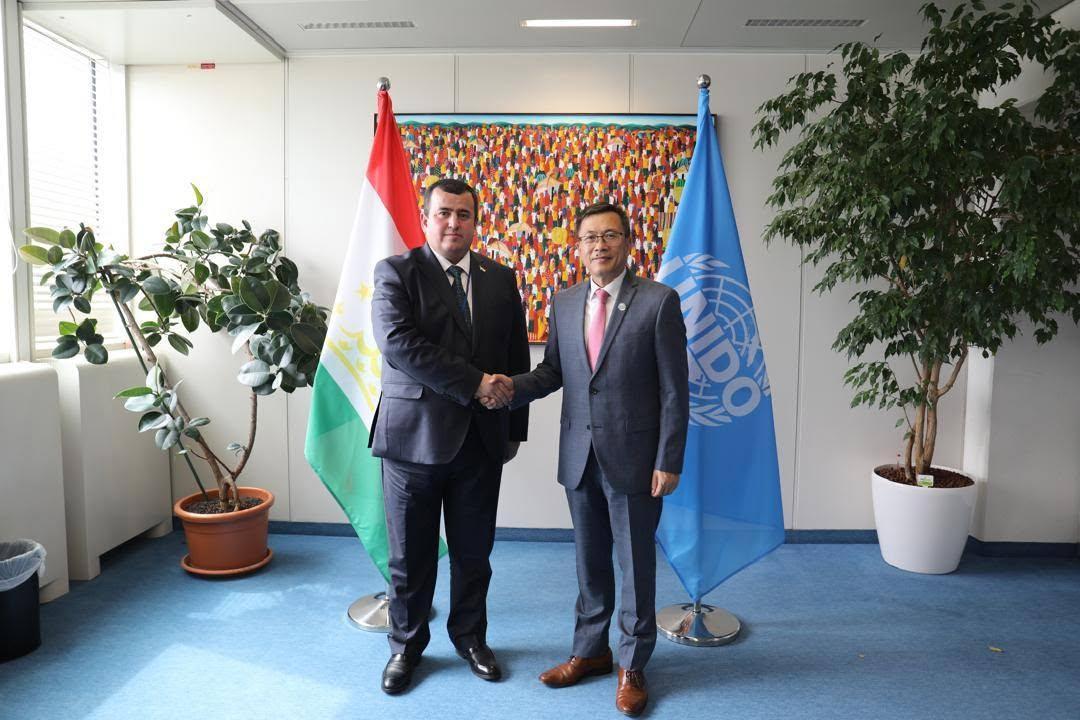 Tajikistan and UNIDO discussed industrial development and innovation