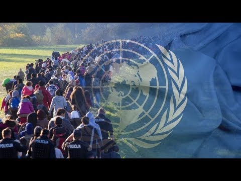UN: The number of internally displaced people worldwide has reached 118 million.