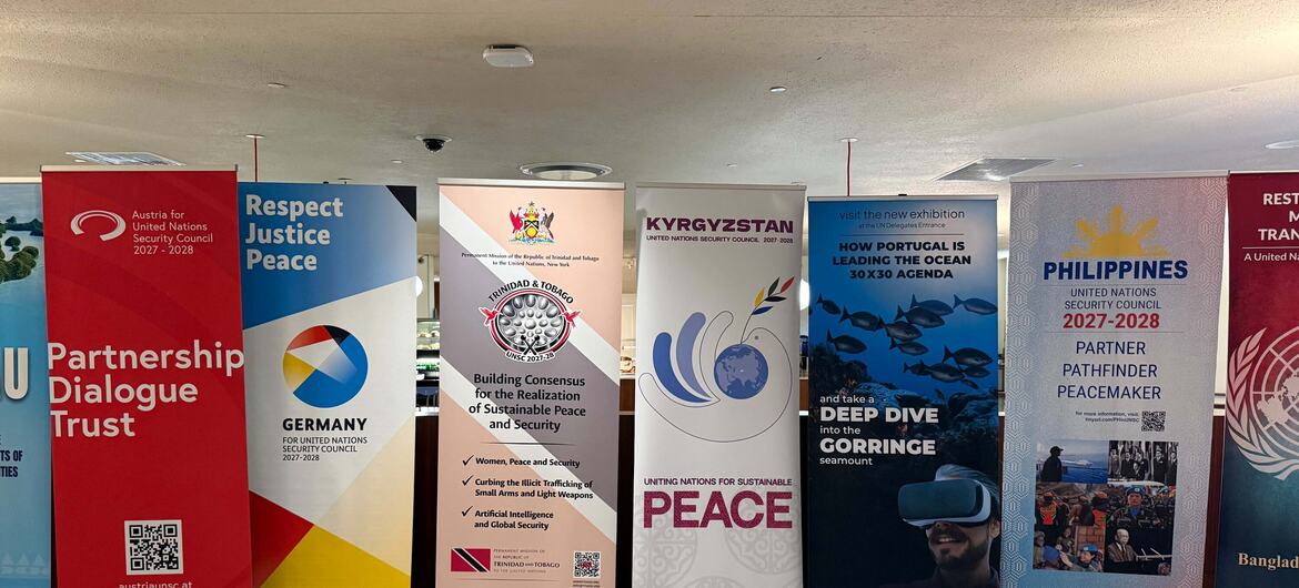 The UN General Assembly will elect new members to the Security Council.
