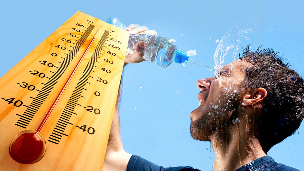 WHO warns of heatwave health risks