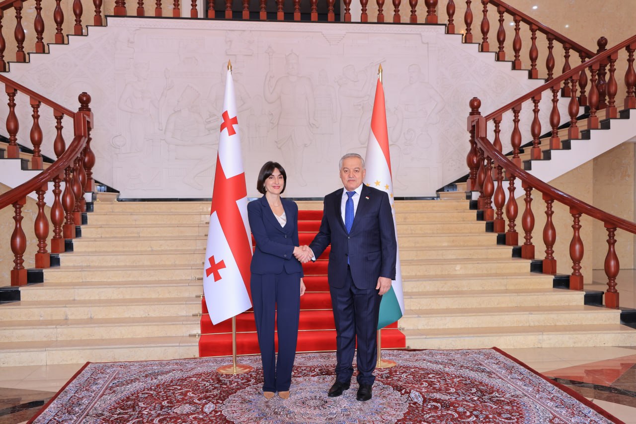 The foreign ministers of Tajikistan and Georgia discussed the development of cooperation.