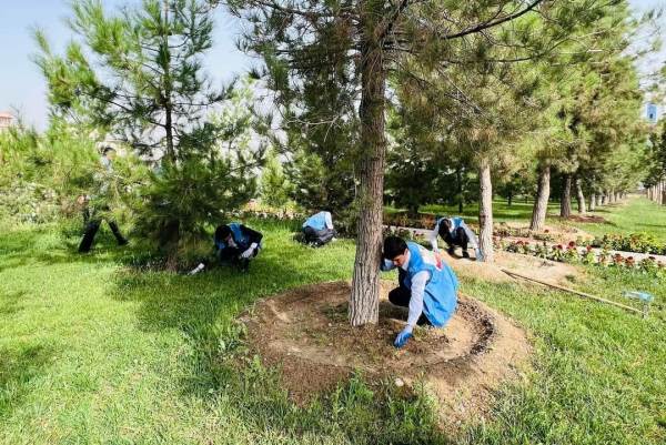 Environmental volunteers organized dozens of cleanup events in Dushanbe.