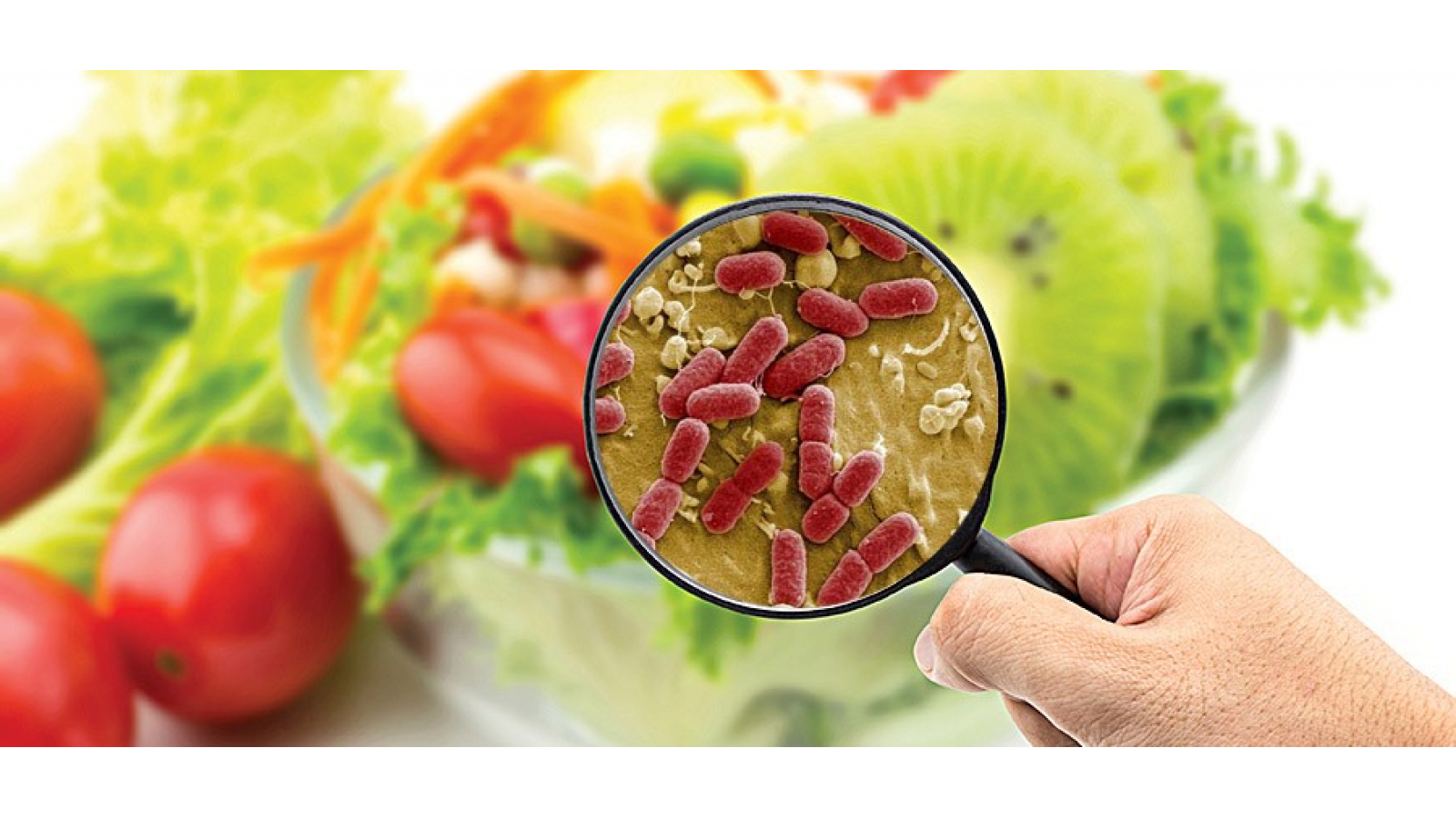 WHO: Contaminated food kills 1.5 million people every year