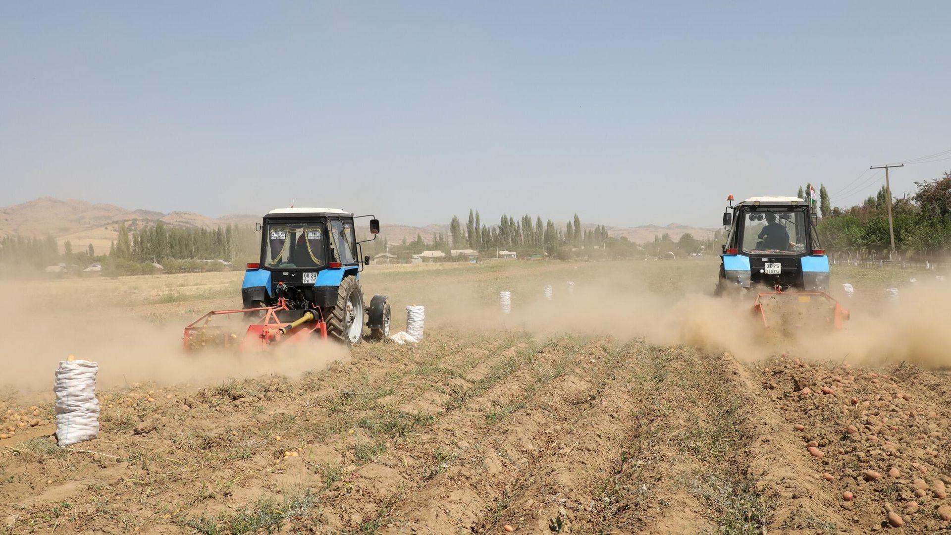 In the past six months, 1,330 new dehkan farms have been registered in Tajikistan.