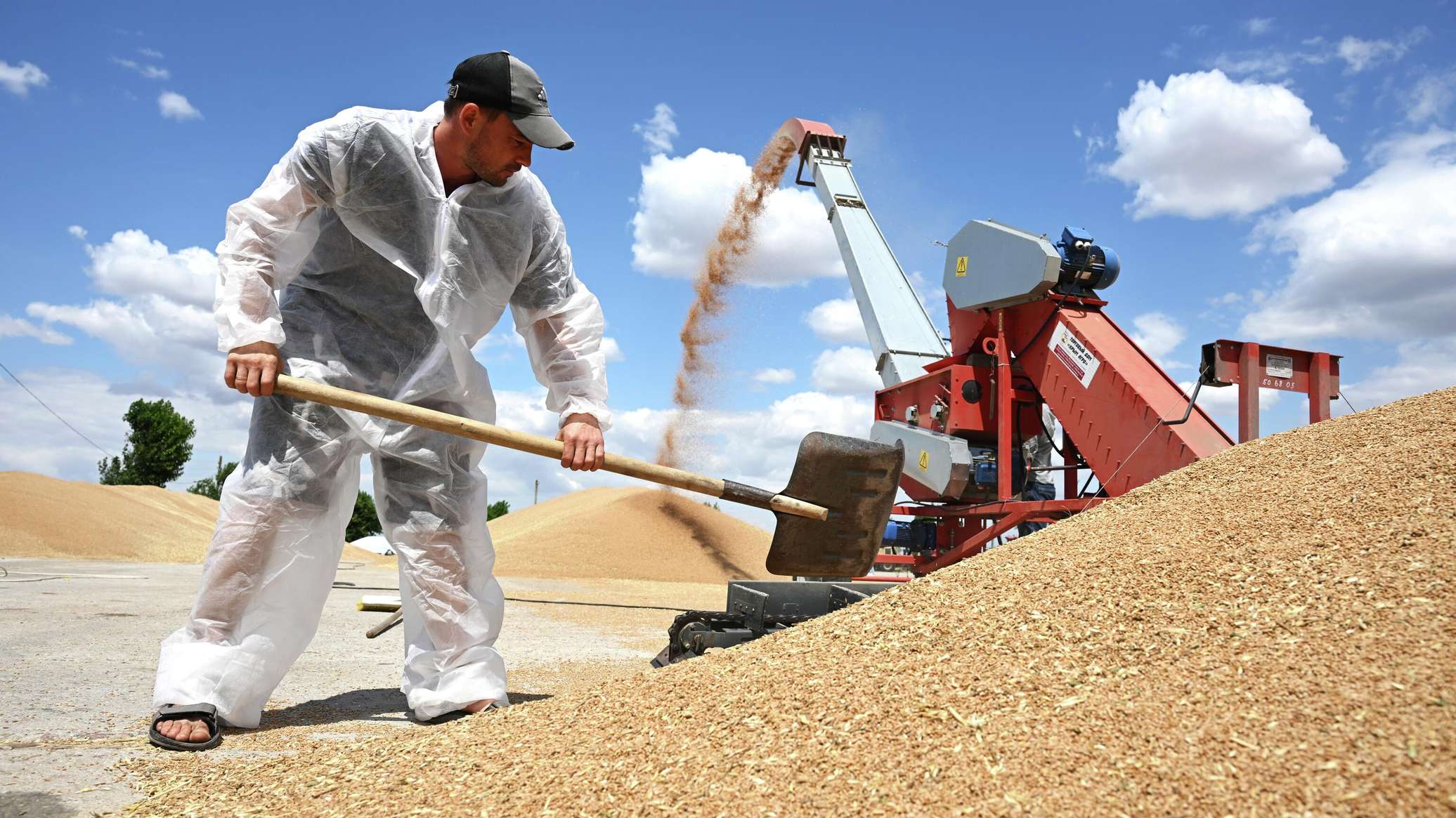 Tajikistan exported $39.9 million worth of agricultural products in the first six months.