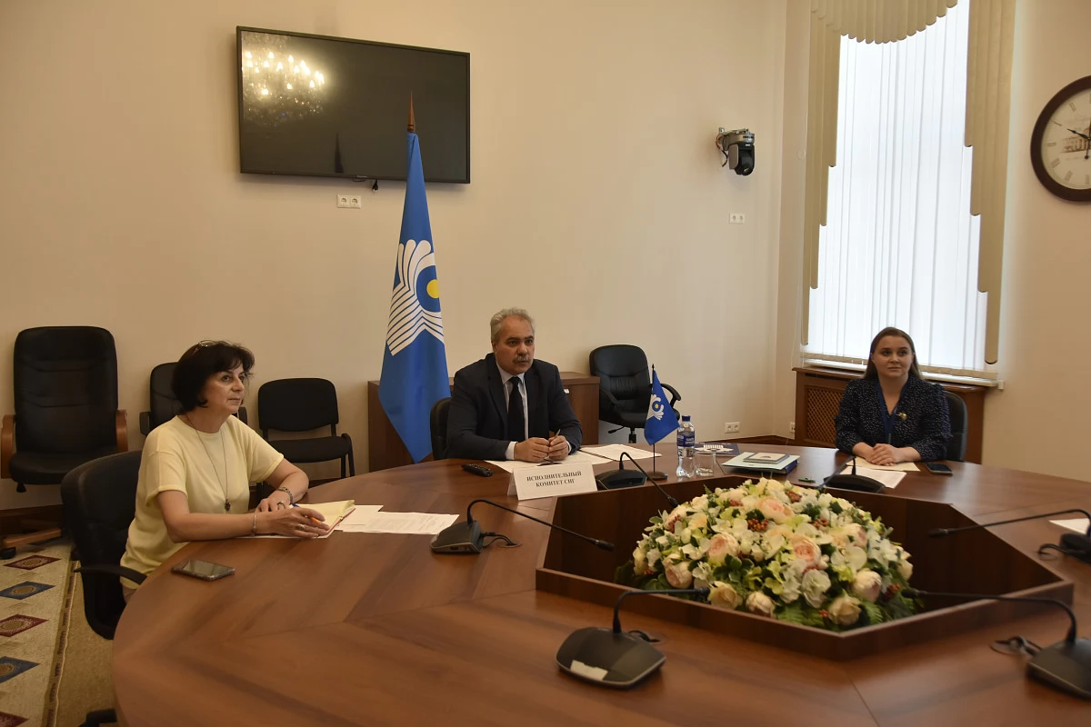 The CIS supported the creation of an advisory body on free economic zones.