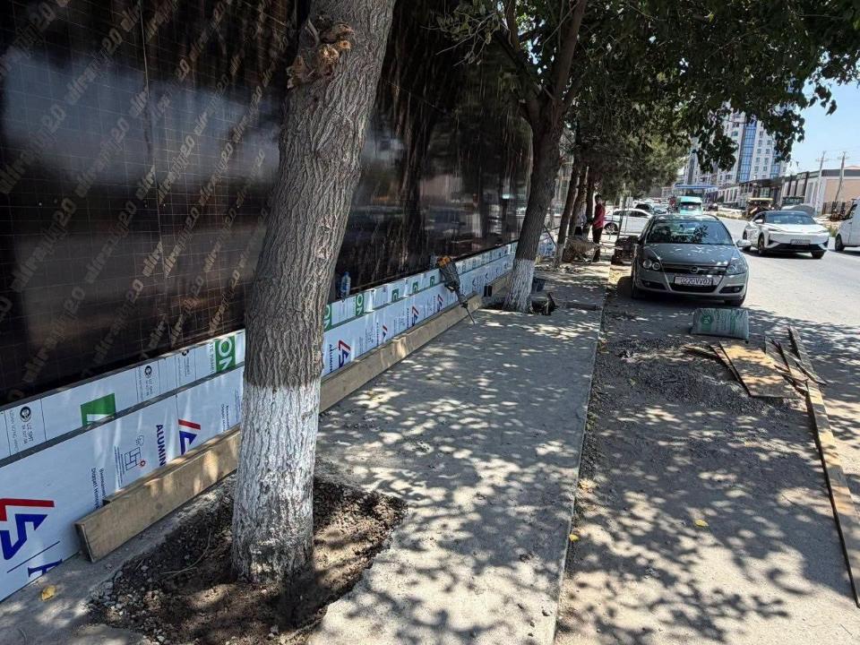 In Khujand, concrete coverings around trees were removed following social media posts.