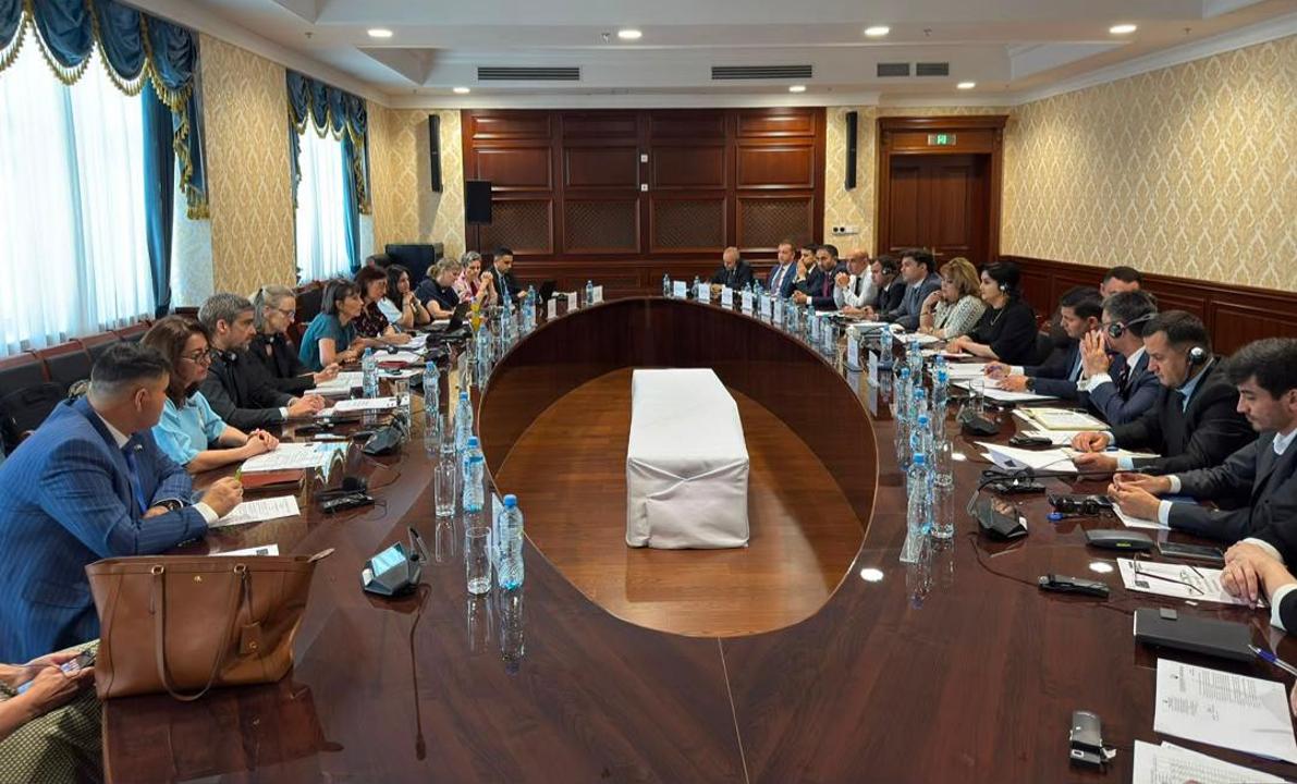 Tajikistan and the EU discussed cooperation in economic development.