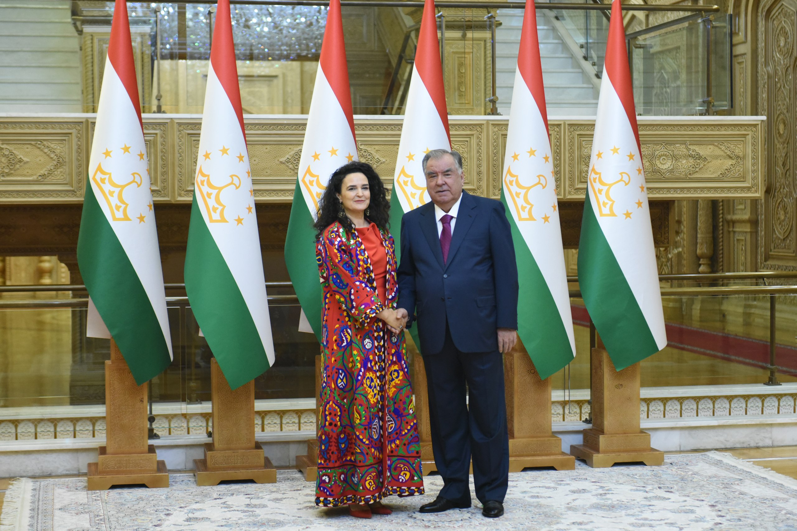 Emomali Rahmon discussed climate cooperation with the head of the Green Climate Fund.