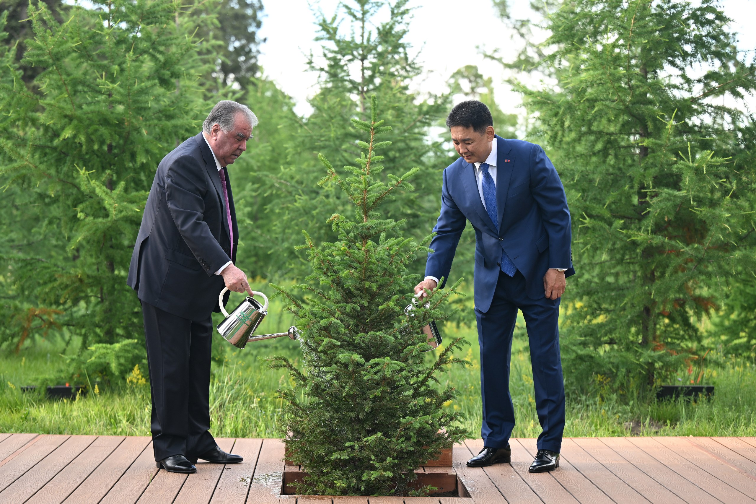 The presidents of Tajikistan and Mongolia planted a tree as a sign of friendship between the two countries.