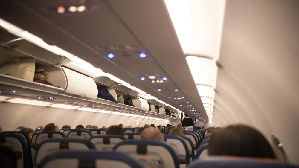 Following the "airplane rats" incident, Kazakhs have asked passengers to be more careful.